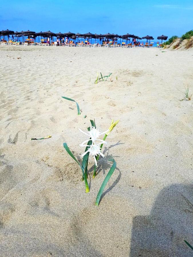 טירניה Regina Del Mare Holiday Apartments מראה חיצוני תמונה